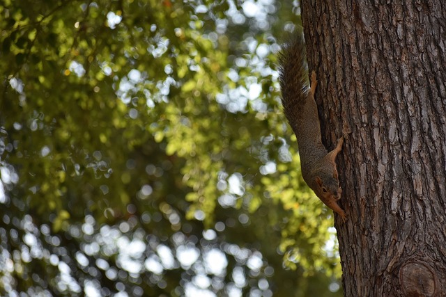 而古德温究 而古德温究