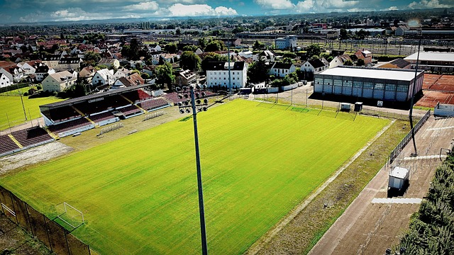 造的新作品 造的新作品