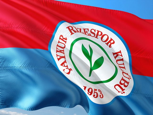 场率先取得 场率先取得