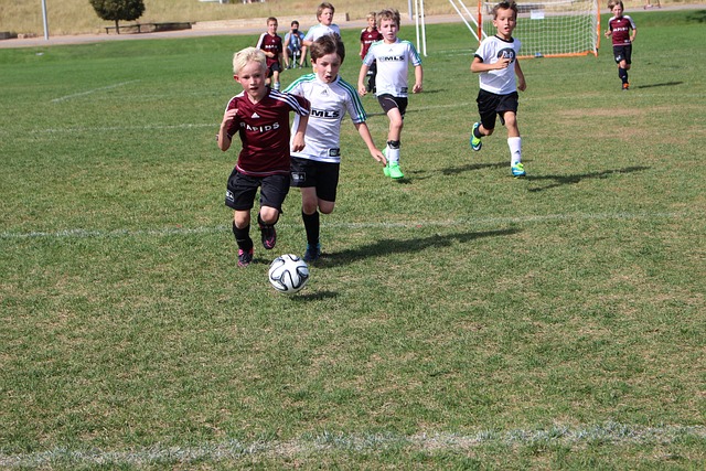 同一天进行 同一天进行