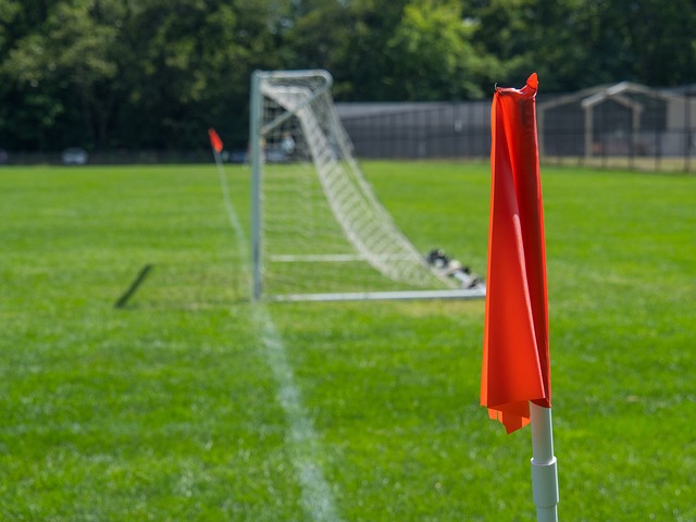 以提高审查 以提高审查