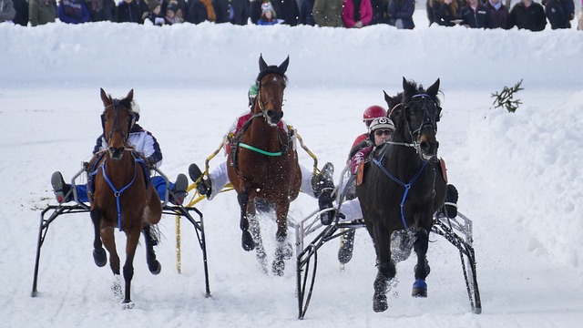 比赛莫过于 比赛莫过于